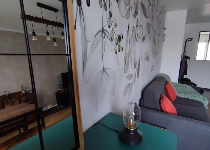 Apartament Le Celadon *