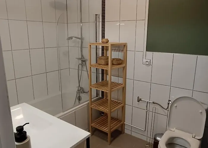 Le Celadon Apartament Dijon